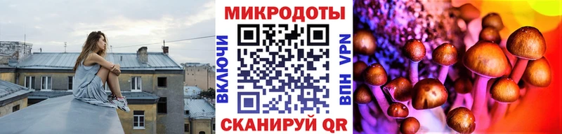 Купить где  Горбатов  Псилоцибиновые грибы Magic Shrooms 